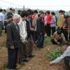 广西忻城：牧草成了农民脱贫致富“宝”